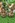 Creality-Falcon2-Pro_s19_pic10_blur.jpg
