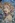 Creality-Falcon2-Pro_s19_pic3_blur.jpg